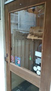 いりぐちDSC_0027