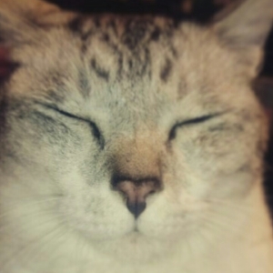 PhotoGrid_1421154629243