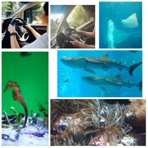 PhotoGrid_1431435762074